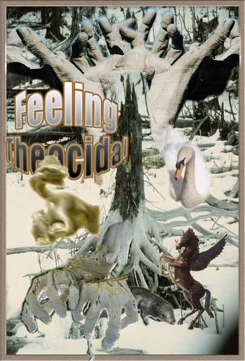 Cluttered and Uncluttered Versions of the Images in Frontcover Frame, prepared by Jim McPherson from his own photos, 2006/7