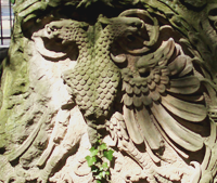 Double-headed vulture spotted and shot in Frankfurt, Germany, in 2008 by Jim McPherson