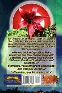 Back cover of Hidden Headgames, prepared by Jim McPherson, 2017