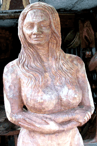 Large carving spotted and shot in Puerto Morelos in 2014 by Jim McPherson
